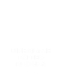 Fire Blaze: Toltec Blocks