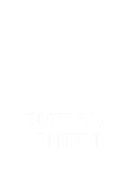 Buffalo Blitz II