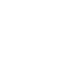 Dragonfall