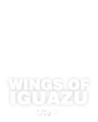 Wings of Iguazu