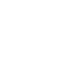Hawaii Beauty