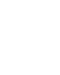 Cash 20