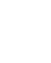 Arena Fighter