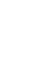 Night City