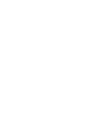 Trailblazer
