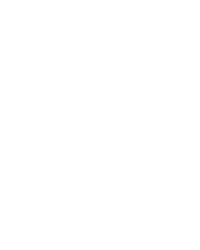 King Cash 10