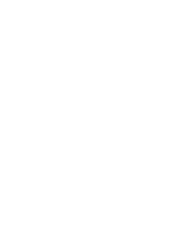 Napoleon 2 FatStacks