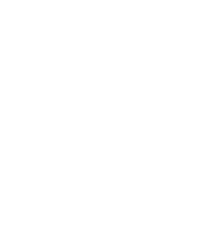 Irish Elf
