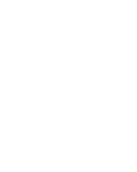 Crash Bonus