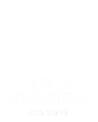 Ninja Crash 500